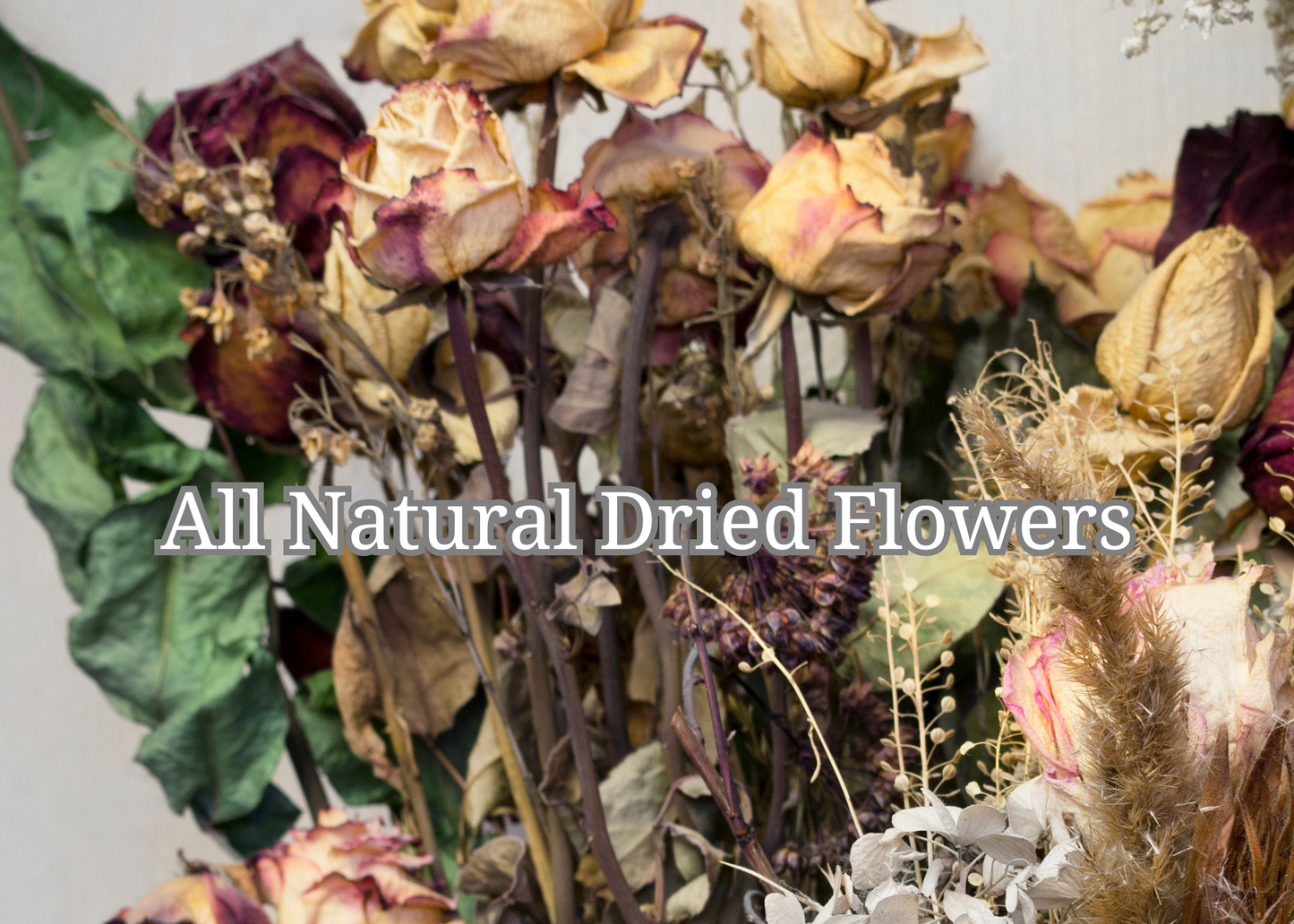 Amber Sandalwood Body Oil