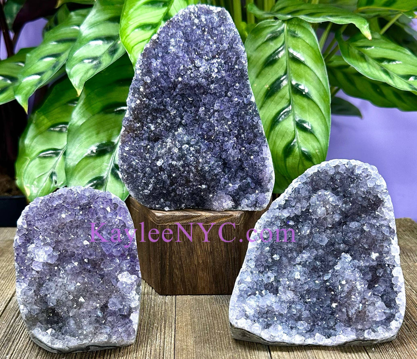 2-4 PCs Natural Black Amethyst Cut Base 4.8-5 lbs