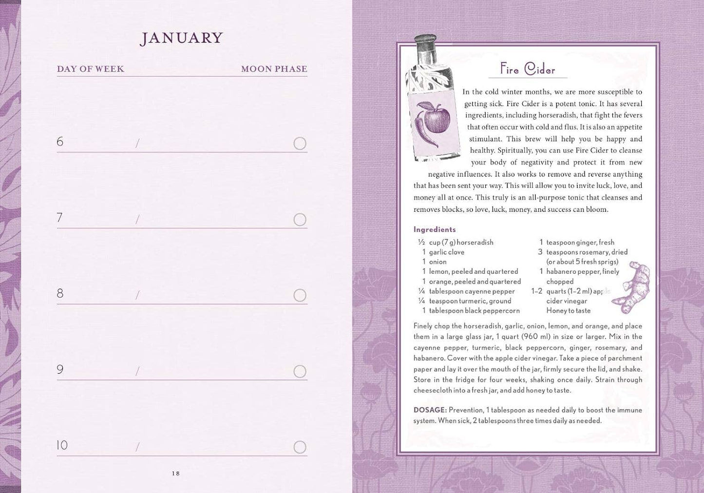 The Good Witch's Perpetual Planner by Shawn Robbins