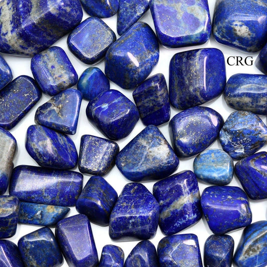 Extra Quality Lapis Lazuli Tumbled (Size 1 to 2 inches) - Crystals