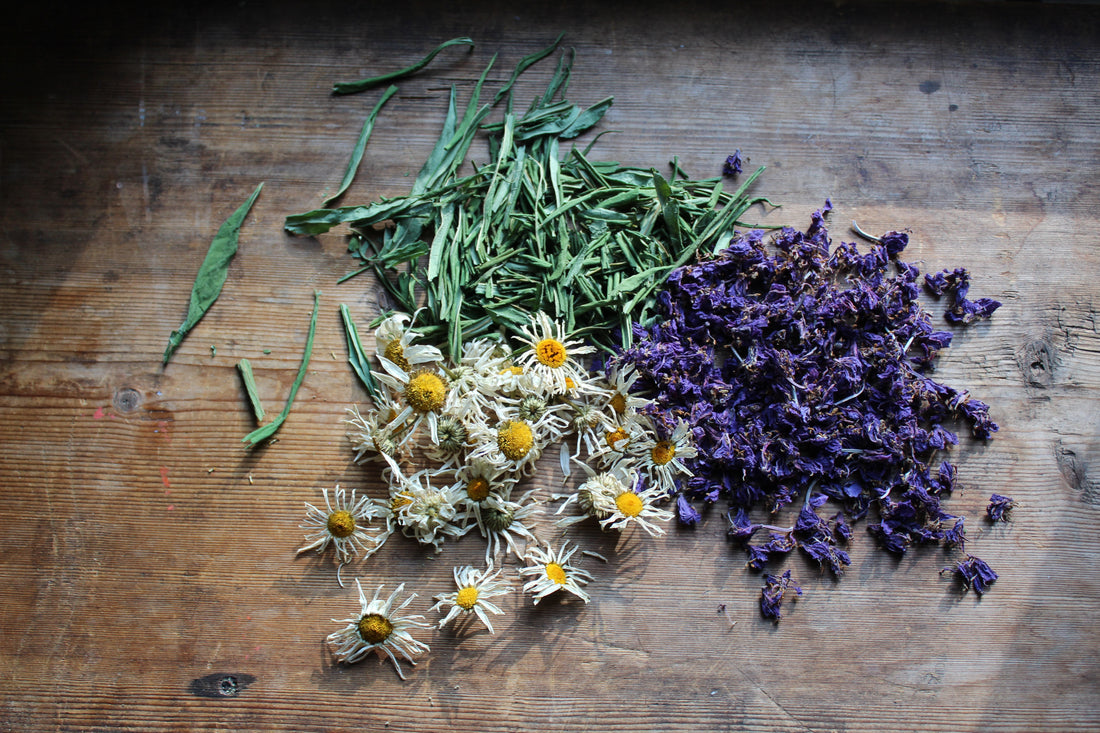 The Healing Power of Herbal Teas: Nature’s Brew for Wellness