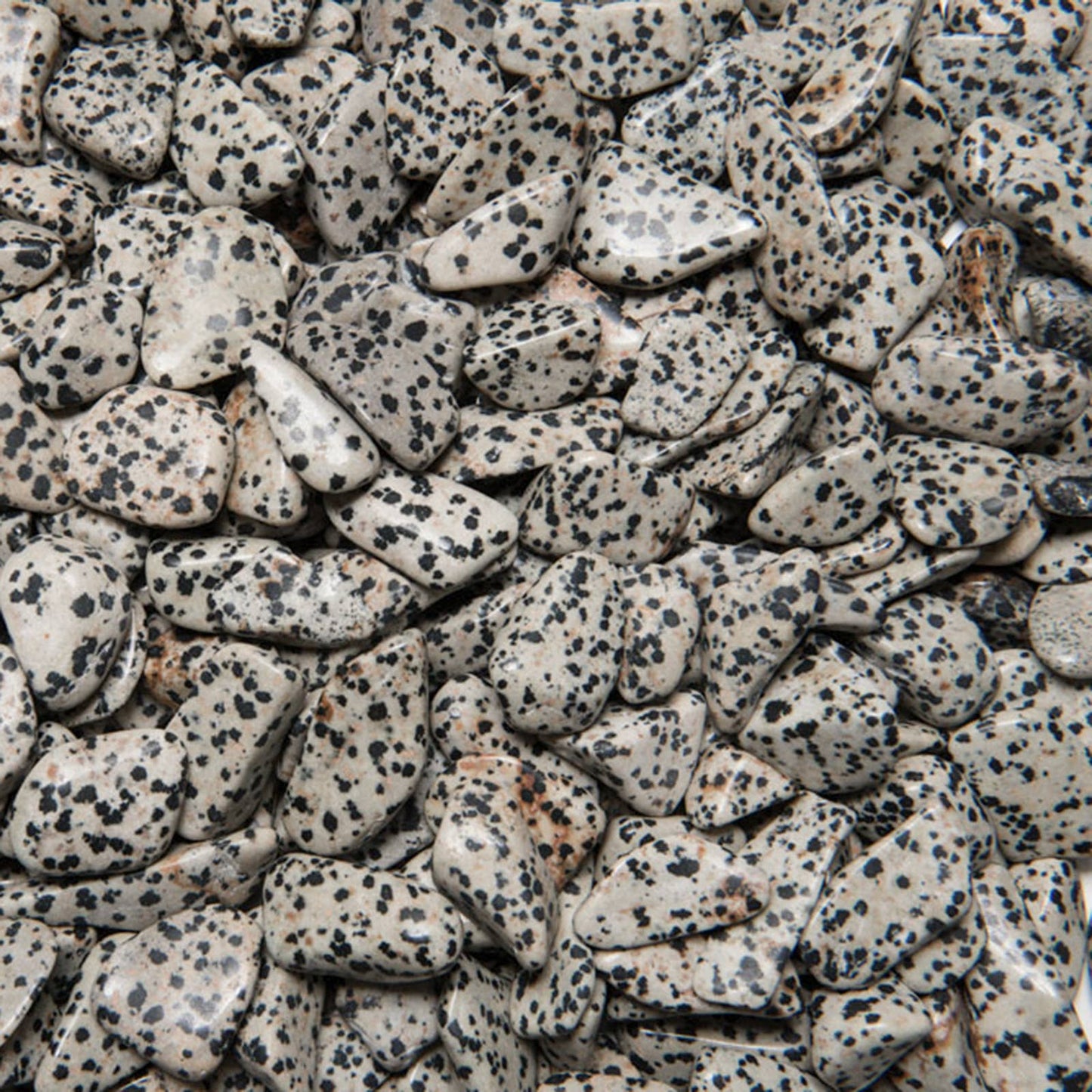 ⚪🖤 Natural Dalmatian Jasper Tumbled Stones