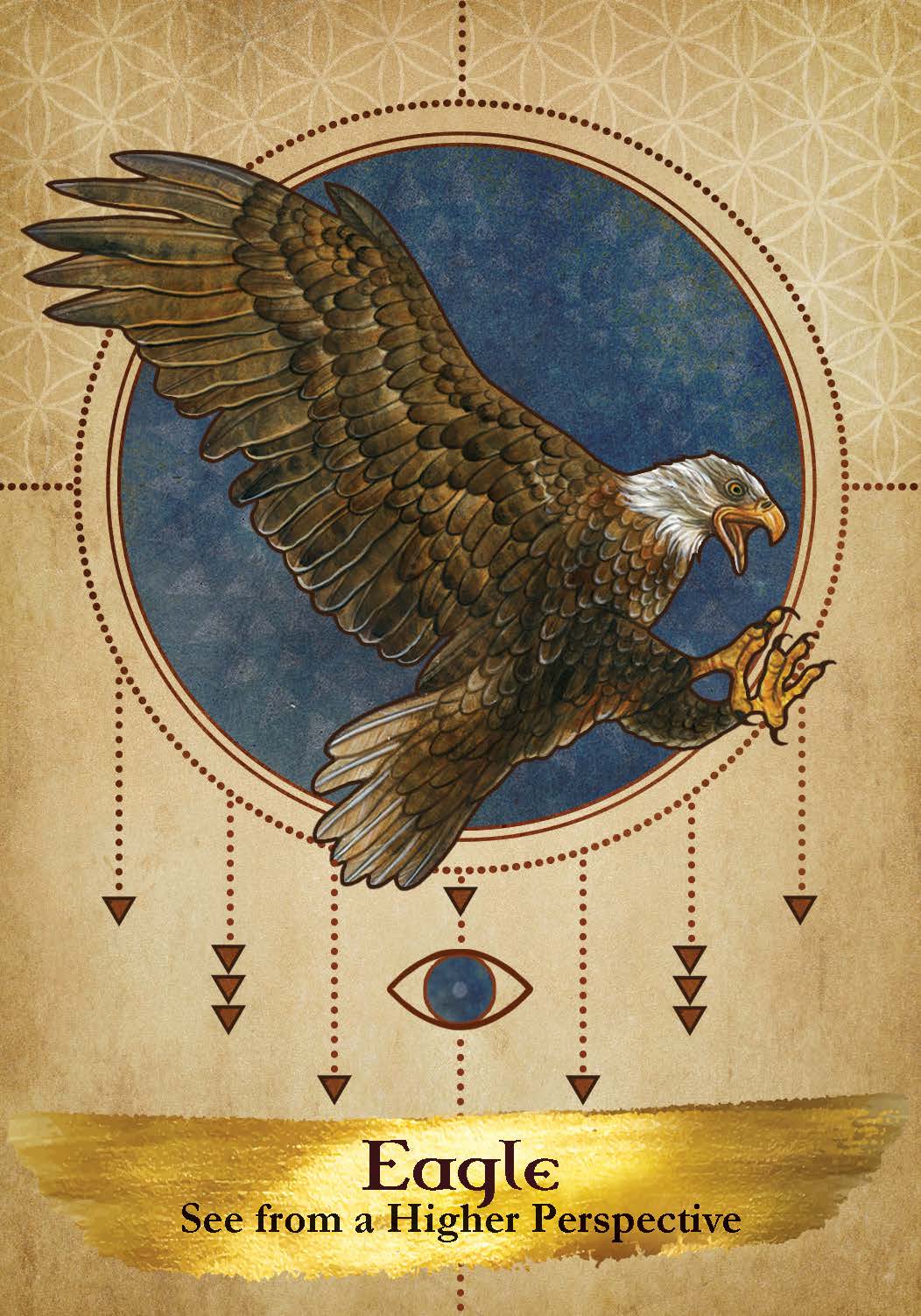 Illustration of an eagle with a decorative border and text on a beige background