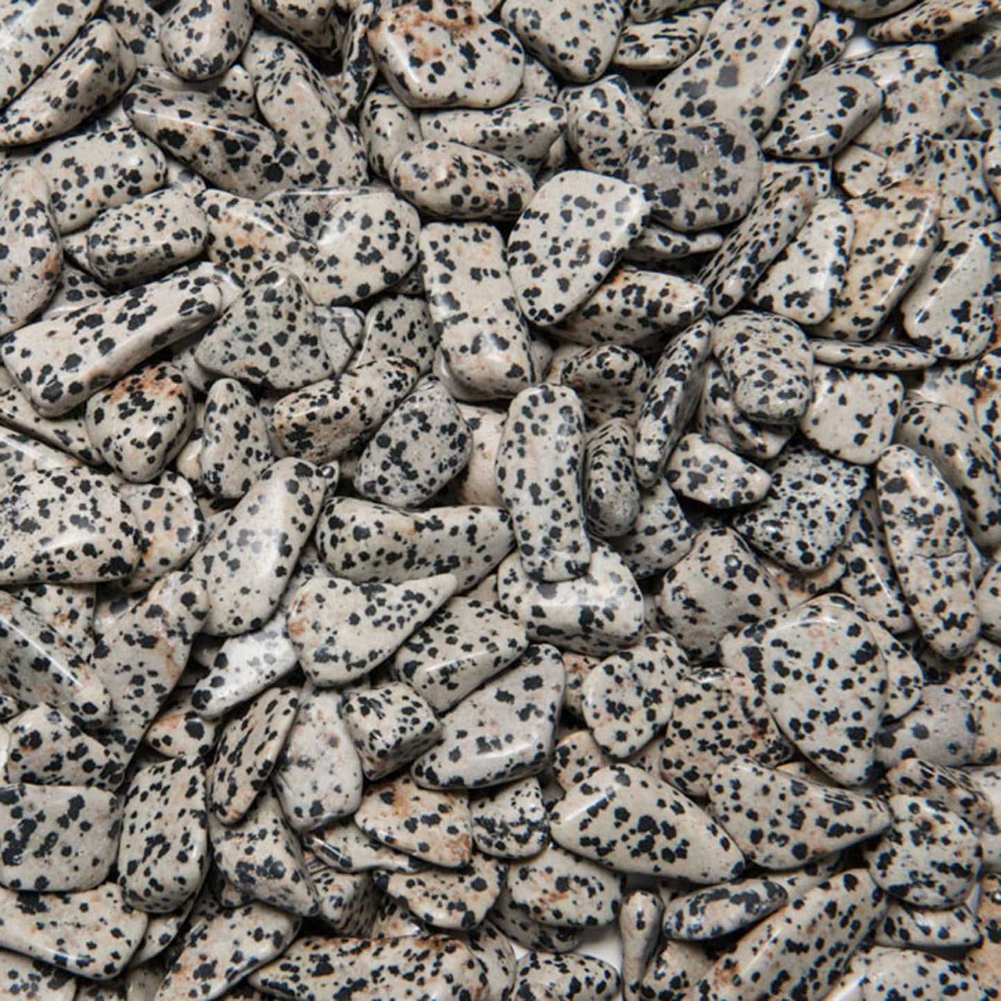 ⚪🖤 Natural Dalmatian Jasper Tumbled Stones