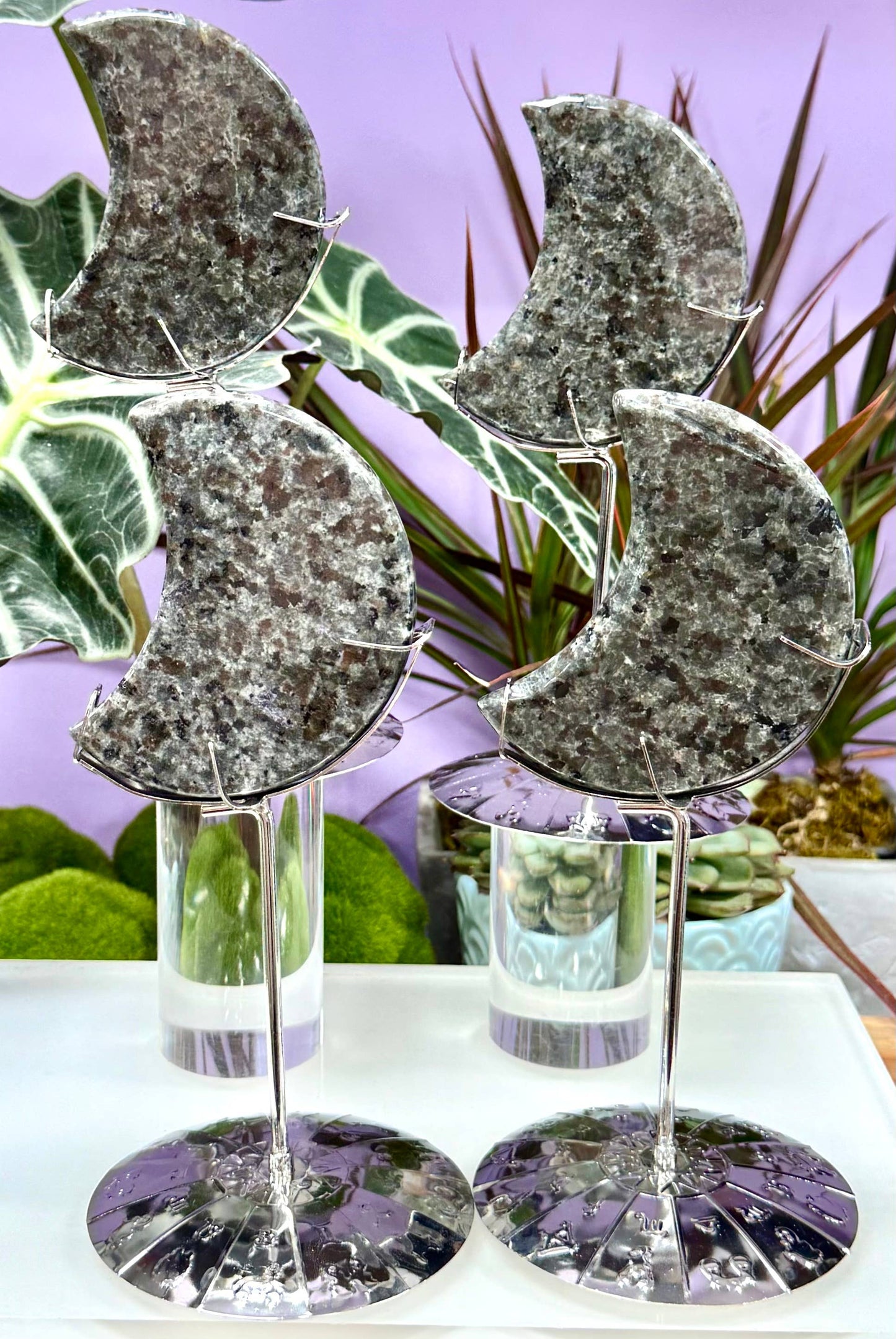 Natural Yooperlite Moon w Zodiac stand