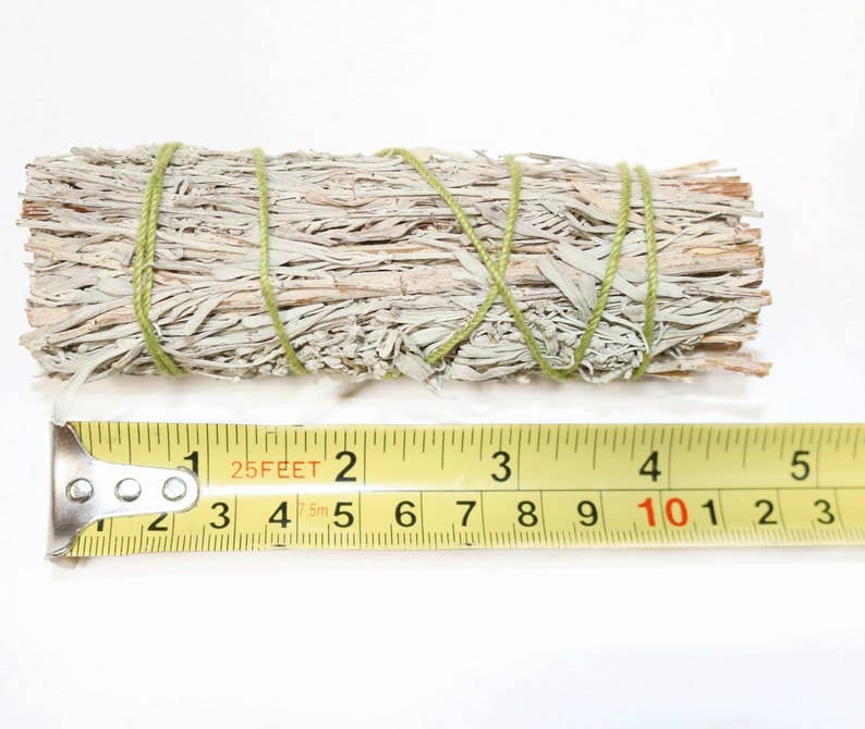 4" Blue Sage Smudge Bundle