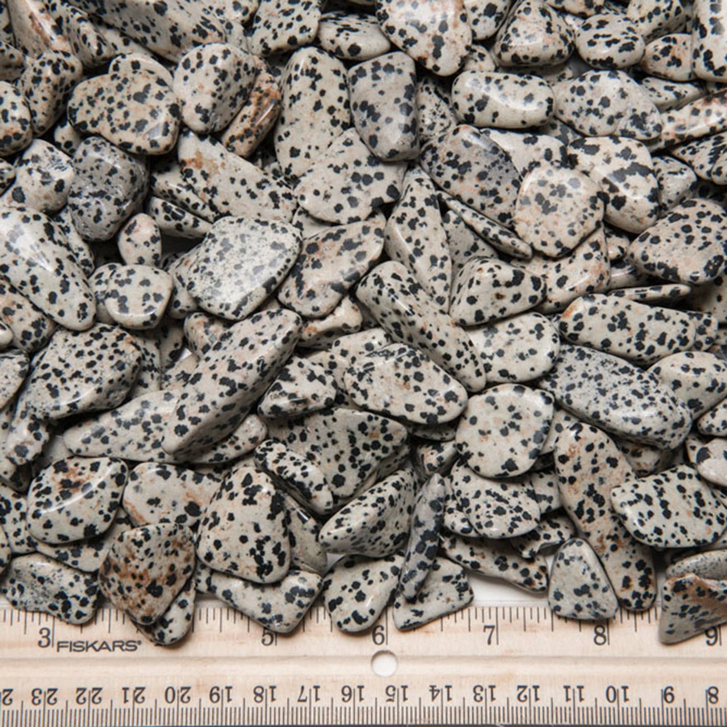 ⚪🖤 Natural Dalmatian Jasper Tumbled Stones