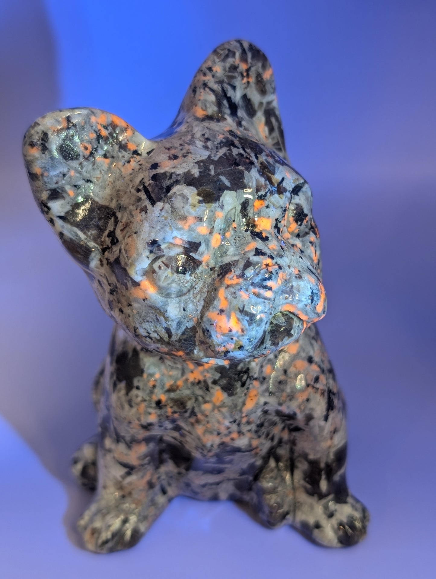 Yooperlite (Emberlite) Crystal Dog